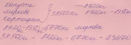 В магазин привезли 38560 кг овочів. Капусти було 8720 кг, моркви на 1950 кг менше, решта була картоп