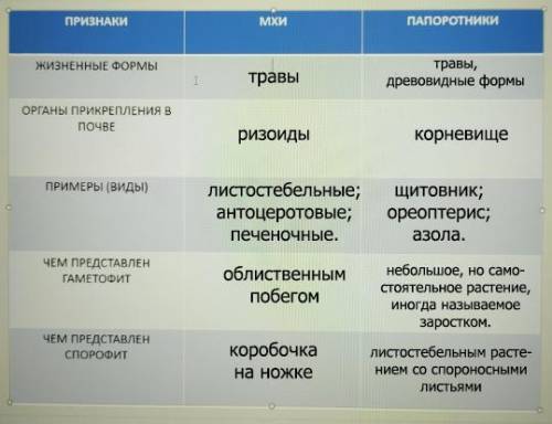 заполнить таблицу Заранее