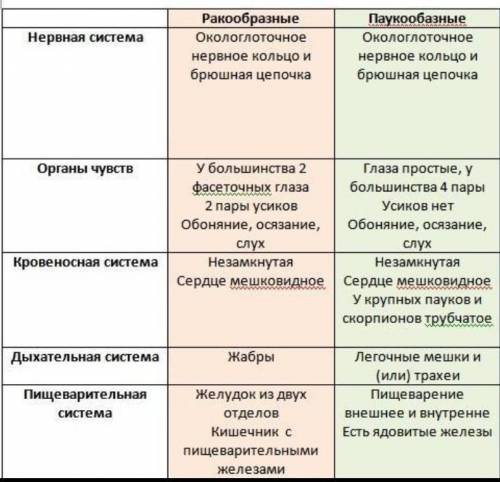 Каковы отличительные особенности внутреннего строения ракообразных от паукобразных?​