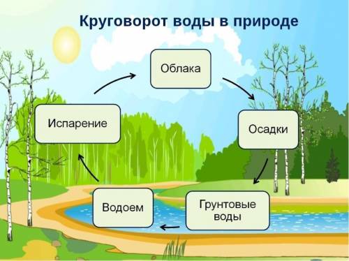 Составить схему круговорота воды в природе