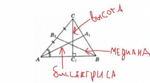 1. Используя рисунок, покажите следующее: Медиана треугольника: Биссектриса треугольника: Высота тре