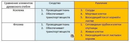 Сравните строение элементов кислемы и флоэмы ​