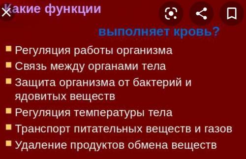 Какие функции выполняет кровь.