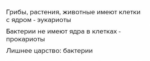 В странах северной Африки, Ближнего востока и средней Азии принято носить одежду покрывающую все тел