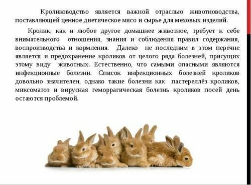 Кролиководство сообщение