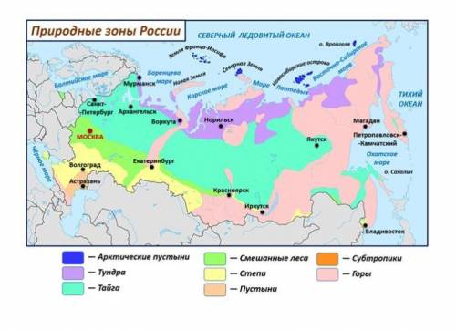 Какие есть природные зоны?​