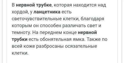 Нервная система ланцетника представлена у ланцетника. 1) спинным мозгом 2) головным и спинным мозгом