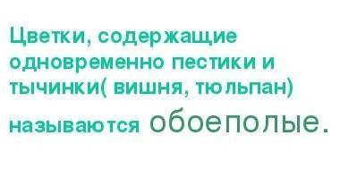 Цветки, содержащие и пестик, и тычинки называются: двудомныеоднодомныеобоеполыераздельнополые​