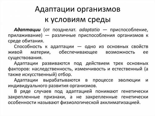 В какой среде обитания чаще всего возникают адаптации и почему