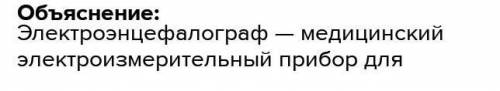 Значение поступления в клетку питательных веществ