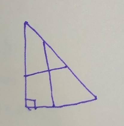 Нарисуйте прямоугольный треугольник и разделите его двумя пересекающимися линиями, перпендикулярными
