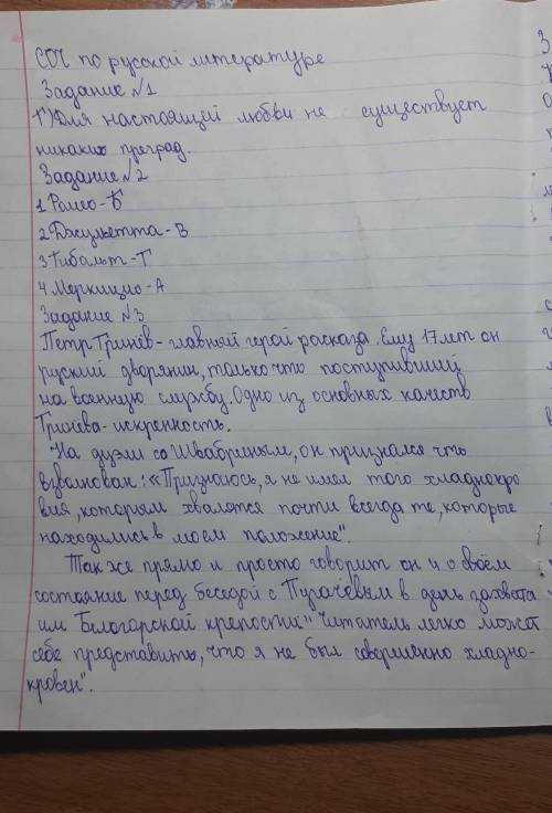 КТО ПОНИМАЕТ АДЕБИЕТ НАПИСАТЬ СОЧ/ТЖБ 8 КЛАСС