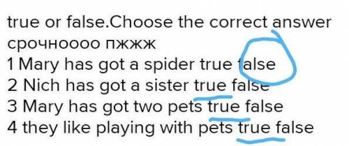 1 Mary has got a spider true false 2 Nich has got a sister true false 3 Mary has got two pets true f