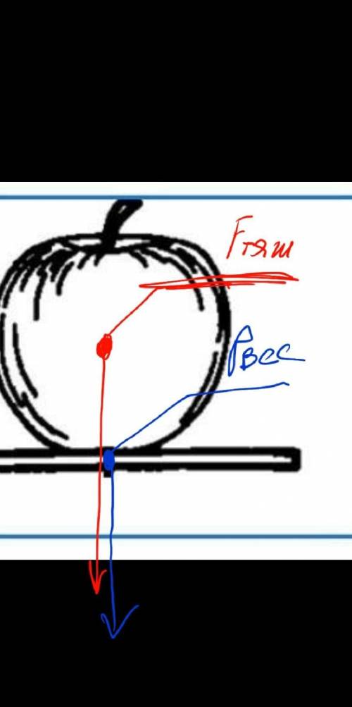 1. На блюдце лежит яблоко.   Изобразите графически силу тяжести и вес тела. у меня соч​