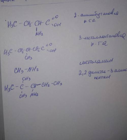 Составьте структурные формулы следующих соединений: 2-аминобутановая кислота, 3- метилпентановая кис