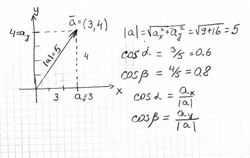 Вектор задан на плоскости своими проекциями на оси x и y: ax = 3 м, ay = 4 м. Найдите модуль и напра
