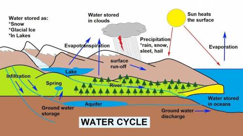 The water cycle How water moves and changes on the Earth