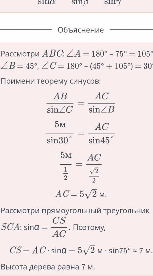 Для определения высоты дерева Бауыржан измерил расстояние AB = 5 м и углы α = 75°, β = 45°. Найди вы
