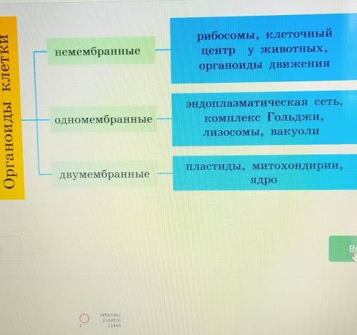 Компоненты клетки Верных ответов: 3митохондриирибосомыцитоплазмаядровакуольпластиды​