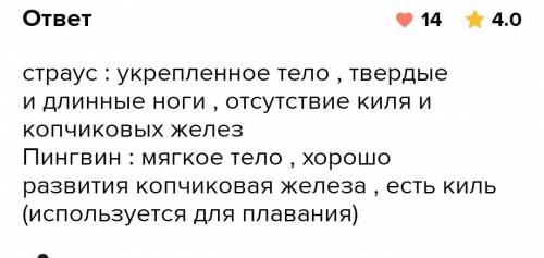 Что общего и в чем различие пингвинов и страусов в строении тела и образа жизни