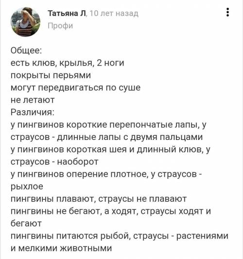 Что общего и в чем различие пингвинов и страусов в строении тела и образа жизни