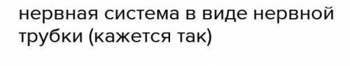 Что в строении Ланцетника свидетельствует о сумеречном образе жизни?