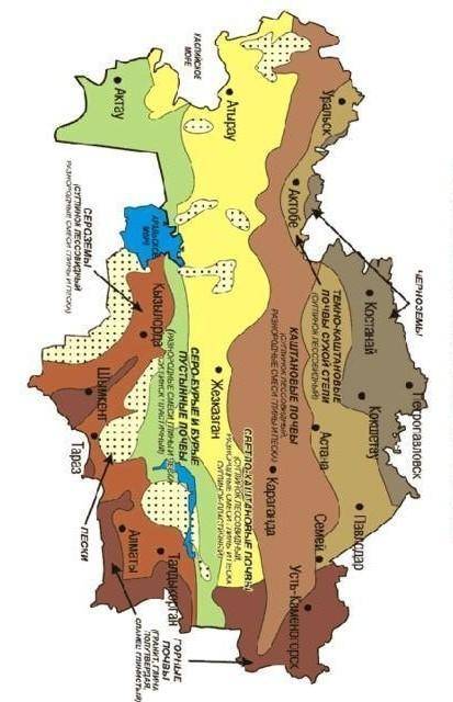 Обозначьте на контурной карте распространение видов почв в Казахстане​
