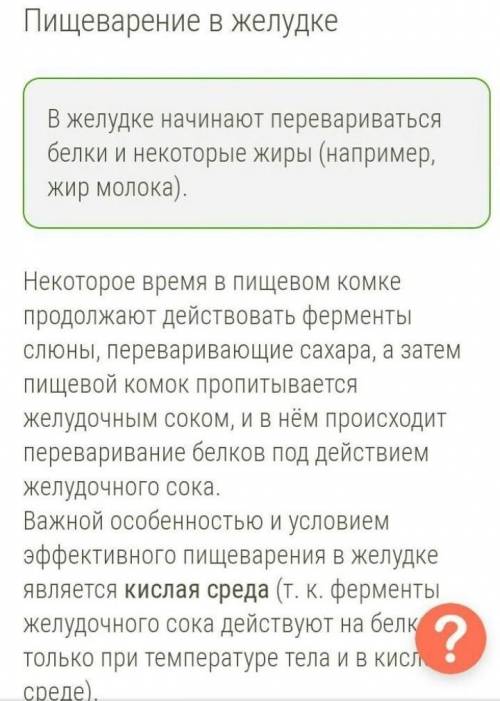 Конспект по теме пищеварение животных зарание