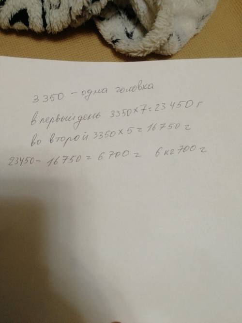 7. Головка сыра весит 3 кг 350 г. В магазинпривезли 12 таких ГОЛОВОК. В первый деньпродали 7 головок