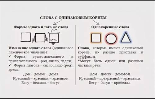 ЗАПИШИ В ЛЕВЫЙ СТОЛБИК ФОРМЫ СЛОВА ЛЕС,А В ПРАВЫЙ- ОДНОКОРЕННЫЕ СЛОВА.ЛЕС,ЛЕСНИК,ЛЕСНОЙ,ЛЕСОМ, В ЛЕС