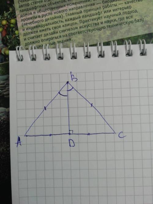 В равнобедренном треугольнике ABC с основанием AC проведена биссектриса BD. Найдите угол ABC если уг