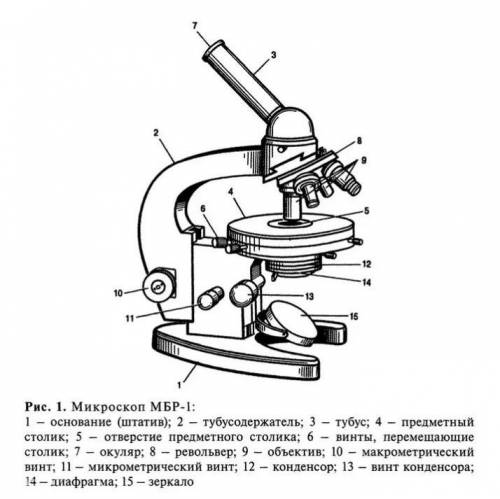 Рассмотрите строение микроскопа и соотнесите термины с определениями 1.Макрометрический винт 2.Зерка