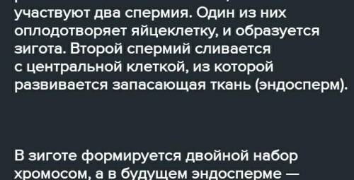 Происходит двойное оплодотворение И в чём его значение?​