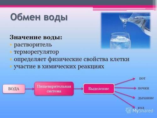 Схема обмена воды``^​