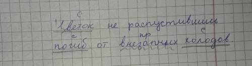 сделать сделать синтаксический разбор. Цветок не распустившись погиб от внезапных холодов.
