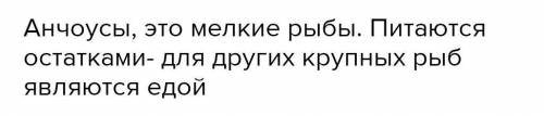 Чем являются анчоусы для многих других видов рыб?