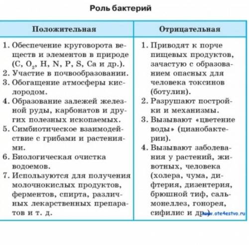 5 класс. Нужно - Название бактерии, Положительная Роль, Отрицательная роль