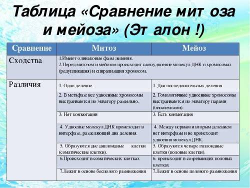 Сравните процессы метоза и мейоза, указав их значение, тип образующихся клеток и набор хромосом ​