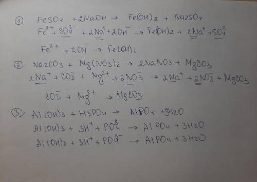 Записать уравнения в молекулярной и ионной форме FeSO4 + NaOH Na2CO3 + Mg(NO3)2 Al(OH)3 + H3PO4 да