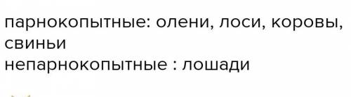 Какие животные из отрядов парнокопытных и непарнокопытных обитают в Калужской области? Какого их зна