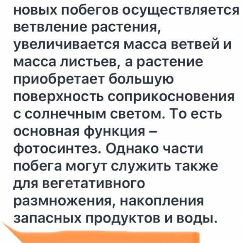 2каковы функции побега? 3как доказать, что почка является зачаточным побегом? 3установите сходства и