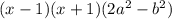 (x-1)(x+1)(2a^2-b^2)
