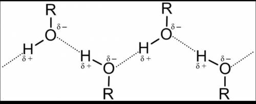 Изобразите схематично водородную связь между молекулами воды и этанола​
