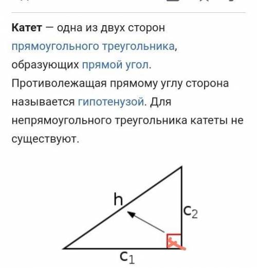 Что такое катет в прямоугольном треугольнике?
