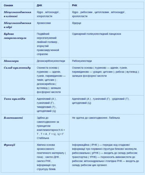 ...Порівняння ДНК та РНК у виглядi таблиці...