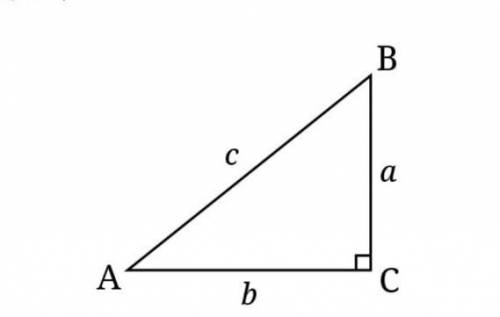 Как называются стороны прямоугольника треугольника?​
