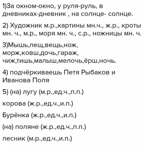 Определи начальную форму имён существительных. За окном-... , у руля-... , в дневниках-... , на солн