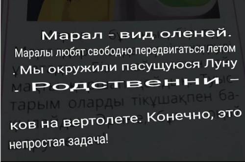 Перевод с казахского на русский переводчик не переводит