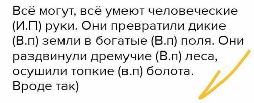 Вставляя окончания прилагательных и определить падеж этих прилагательных. Все могут, все умеют (каки