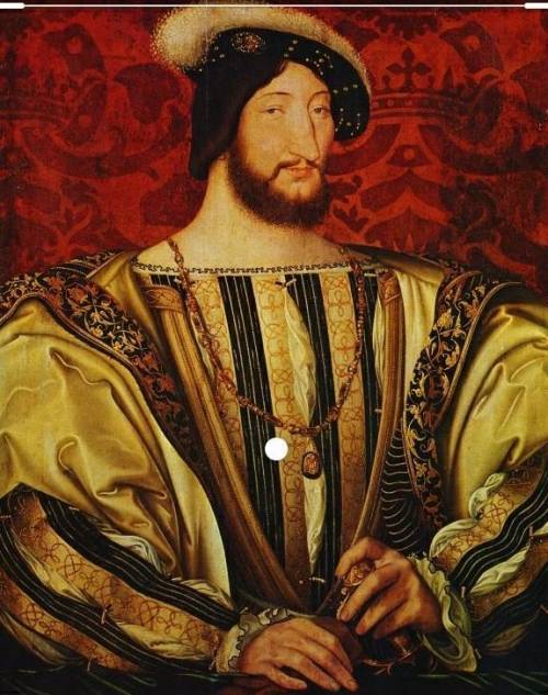 Історичний портрет Франциска 1​